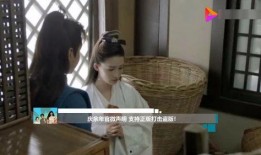 叶兰爆料视频在线观看,揭秘幕后真相，带你走进事件核心