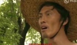 刘海柱爆料视频大全最新,揭秘娱乐圈不为人知的一面